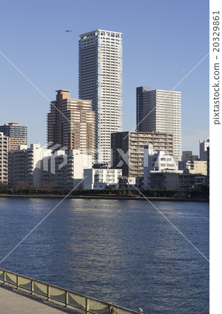 隅田川和到達春天的建築群 20329861
