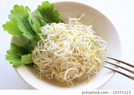 Alfalfa salad 20331123