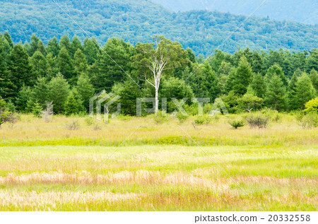 日光和Odashirogagara的夫人(栃木縣的風景) 日光和Odashirogagara的夫人(栃木縣的風景) 20332558