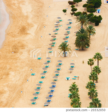 Famous beach Playa de las Teresitas,Tenerife Famous beach Playa de las Teresitas,Tenerife 20332850