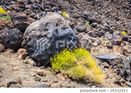 Montana Blanca, tenerife, Canary Islands, Spain Montana Blanca, tenerife, Canary Islands, Spain 20332851