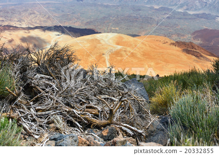 Montana Blanca, tenerife, Canary Islands, Spain Montana Blanca, tenerife, Canary Islands, Spain 20332855