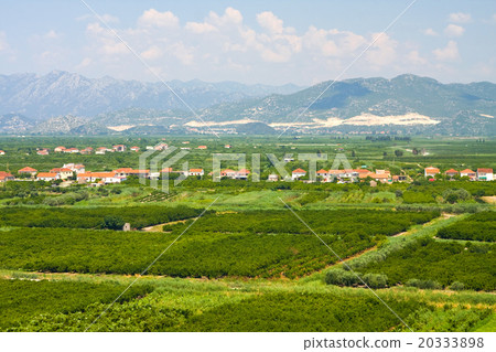 Agricultural area in Neretva river in Croatia Agricultural area in Neretva river in Croatia 20333898
