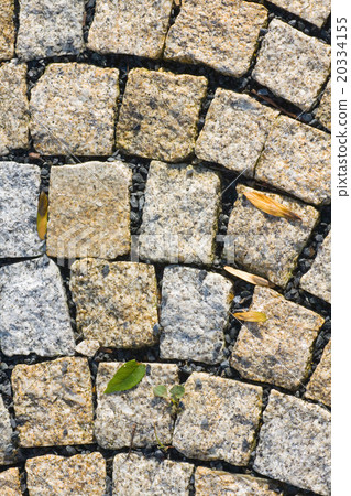 Paving stones texture Paving stones texture 20334155