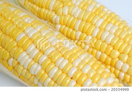 Grains of ripe corn Grains of ripe corn 20334999