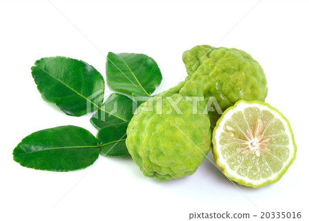 Kaffir lime on white background Kaffir lime on white background 20335016