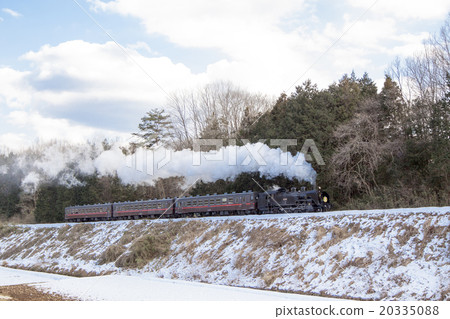 Snow C11-01 20335088