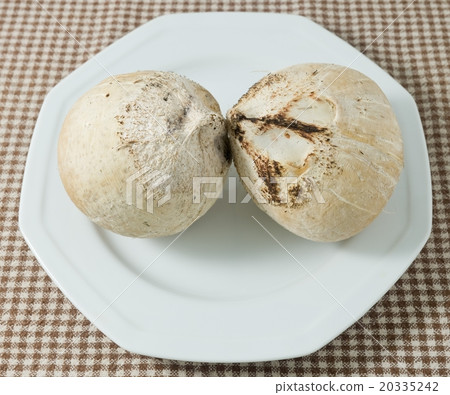 Two Delicious Fresh and Sweet Coconut on Dish Two Delicious Fresh and Sweet Coconut on Dish 20335242
