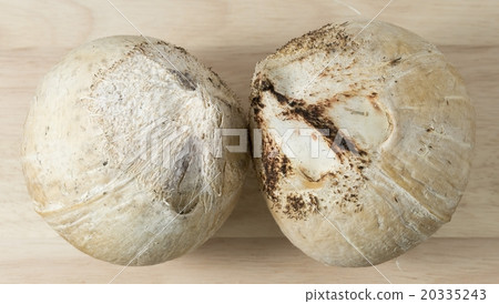 Two Delicious Fresh and Sweet Coconut on A Table Two Delicious Fresh and Sweet Coconut on A Table 20335243