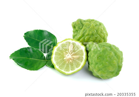 Kaffir lime on white background Kaffir lime on white background 20335355