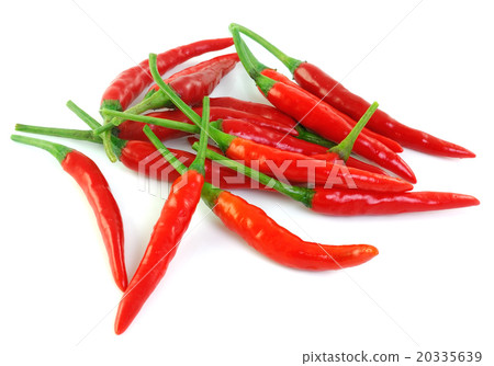 red hot chili pepper isolated red hot chili pepper isolated 20335639