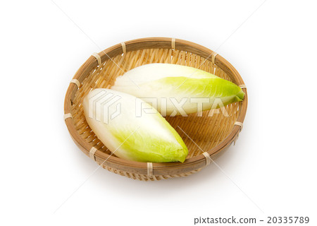 Chicory 20335789
