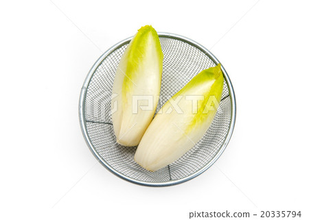 Chicory Chicory 20335794