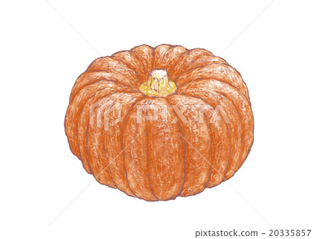 Kikuza南瓜 20335857