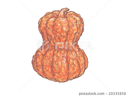 Kagaya南瓜 20335858