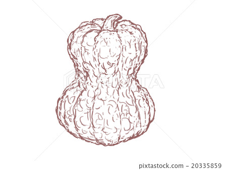 Kagaya南瓜（畫線） 20335859