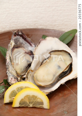 Bizen fry and oyster Bizen fry and oyster 20336775
