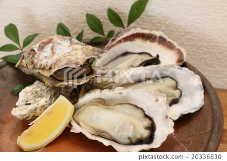 Bizen fry and oyster 20336830