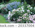 London Valent Gents Park 20337004