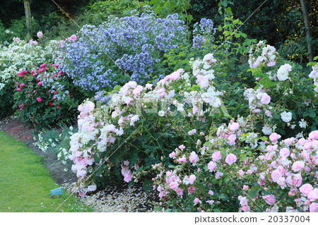 London Valent Gents Park London Valent Gents Park 20337004