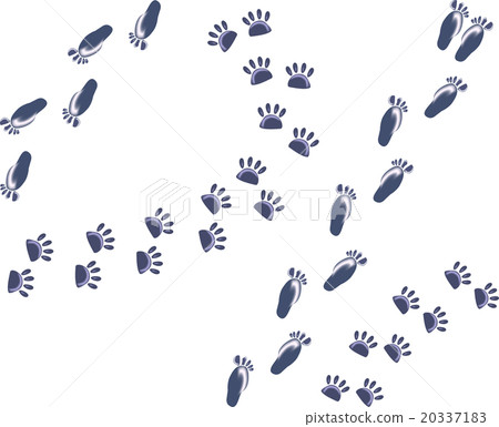 Set of abstract ice footprints of man and cat Set of abstract ice footprints of man and cat 20337183