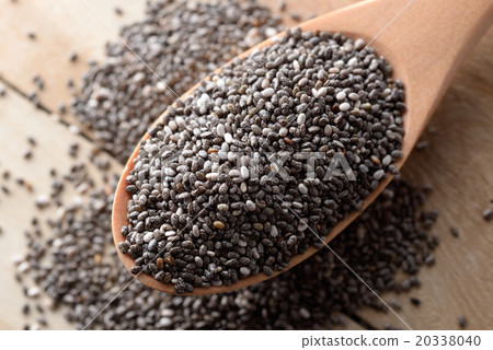 正大種子 正大種子 20338040