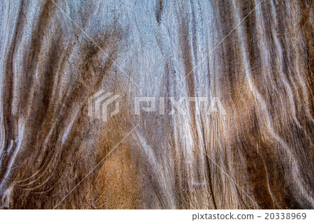 Surface of wood background. or timber background. Surface of wood background. or timber background. 20338969