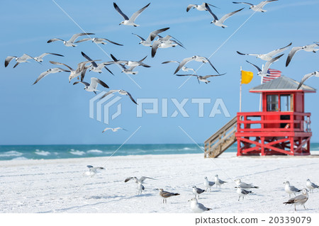 Red wooden lifeguard hut on an empty morning beach 20339079