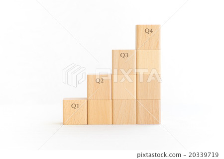 financial statement 20339719