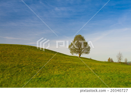 On a golf course at sunset 20340727