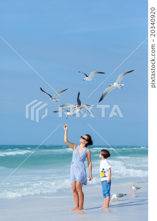 Young mother and her little son feeding seagulls 20340920