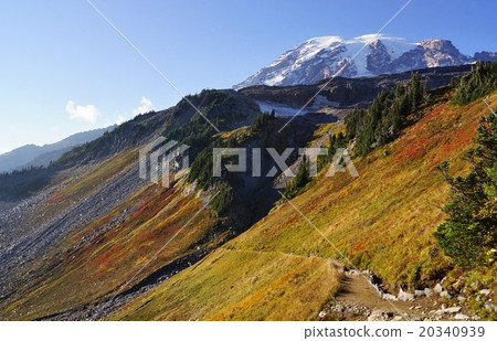 Autumn scenery of Mount Rainier National Park, Washington, USA 20340939