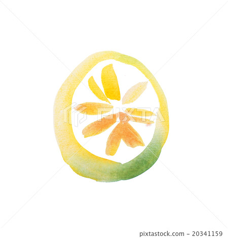 Yellow Lemon Slice Watercolor aquarelle hand drawn Yellow Lemon Slice Watercolor aquarelle hand drawn 20341159