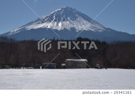Narusawa的富士山 20341161