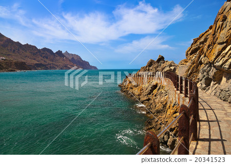 Coast in Tenerife island - Canary Spain 20341523