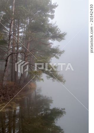 Forest reflections on the lake in the Mist Forest reflections on the lake in the Mist 20342430