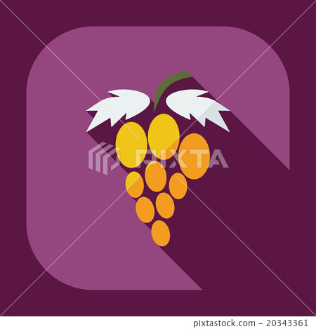 Flat modern design with shadow icons grapes Flat modern design with shadow icons grapes 20343361