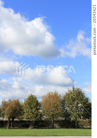 Al-Ke·Sennan皇家礦業花園Franche Conte 20343421