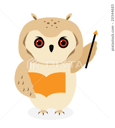 貓頭鷹 貓頭鷹 20344683