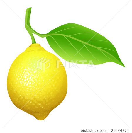Fresh lemon with leaf Fresh lemon with leaf 20344771
