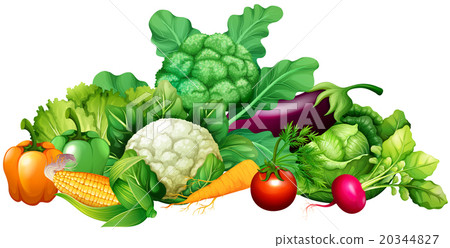 Different kind of vegetables Different kind of vegetables 20344827