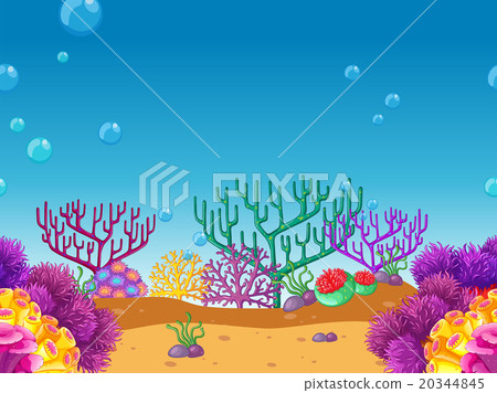 Seamless coral reef under the water Seamless coral reef under the water 20344845