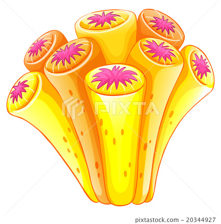 Coral reef in orange color Coral reef in orange color 20344927