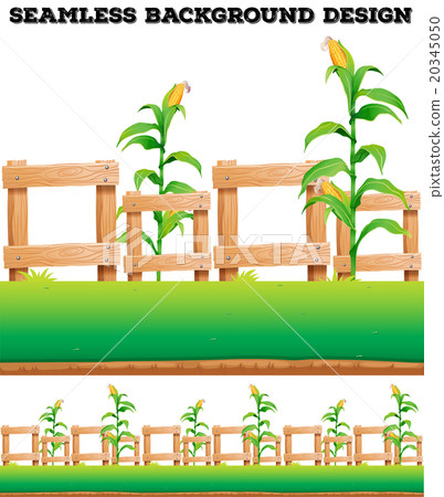 Fence and corns on the ground 20345050