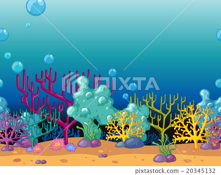 Coral reef under the ocean Coral reef under the ocean 20345132