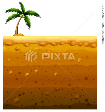 Seamless underground and coconut tree 20345160