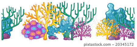 Seamless background with coral reef Seamless background with coral reef 20345172