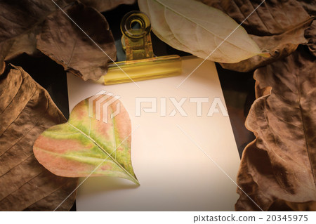 Heart leaf on blank paper note for forever love Heart leaf on blank paper note for forever love 20345975