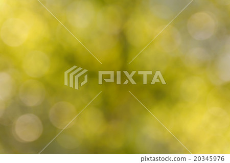 Colourful spark and blow natural bokeh of tree 20345976