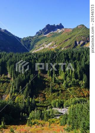 Stevens Canyon, Mount Rainey National Park, Washington, USA Stevens Canyon, Mount Rainey National Park, Washington, USA 20346553